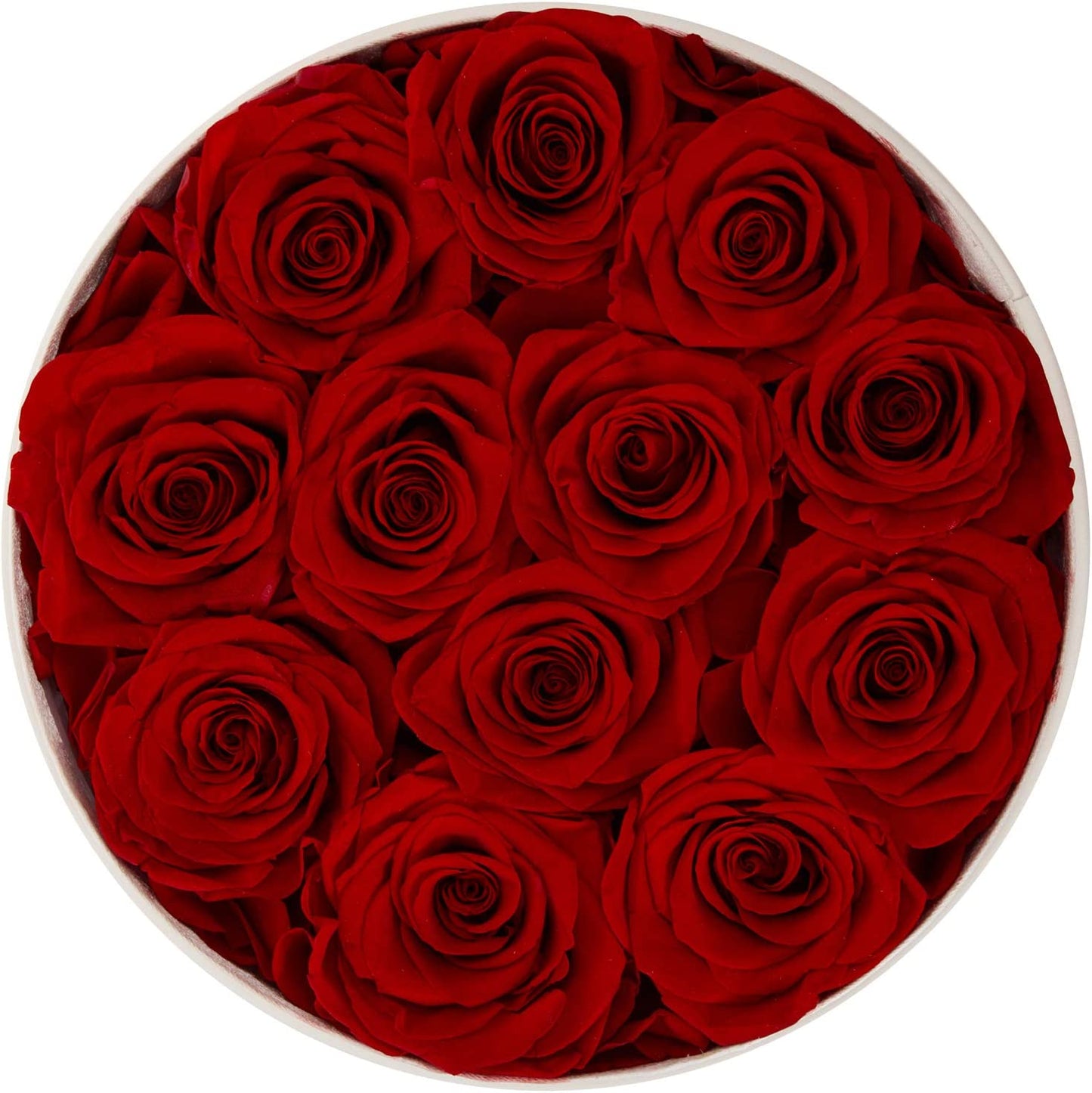 12 Preserved Rose in a Box Real Roses That Last a Year Preserved Flowers for Delivery Prime Gift for Her Valentines Day Mother Day (Red Roses, round White PU Leather Box)